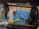 blue baby shower crib cake