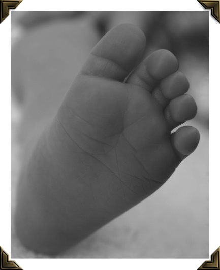 baby's feet in a picture frame