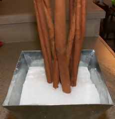 cinnamon sticks stem for candy topiary pushed into container base