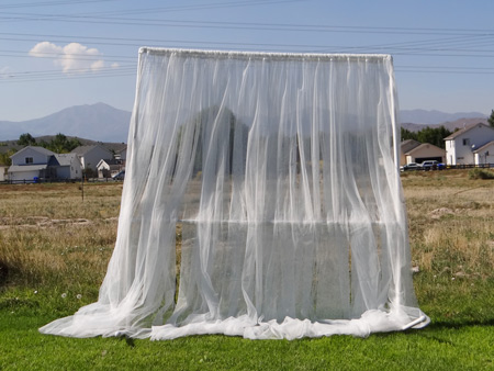 sheer curtains on pvc backdrop