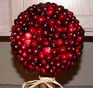 finished cranberry topiary centerpiece