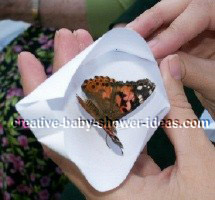 releasing butterfly