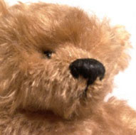 picture of teddy bear