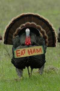 turkey with eat ham sign