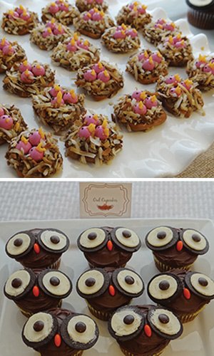 birds nest pretzels and owl cupcakes