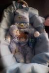 diaper baby in a basket with stuffed animal friend