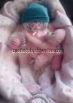 pink diaper baby in a basket with a monkey 