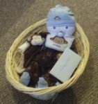 blue and brown diaper baby boy in a basket