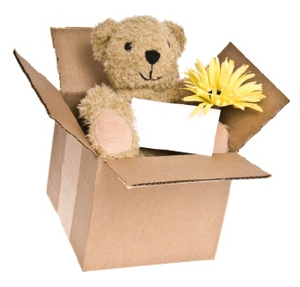 baby shower in a box