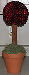 cranberry topiary centerpiece with cinnamon sticks