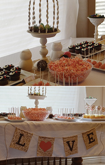 owl baby shower