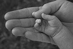 adult hand cradling baby hand palms up