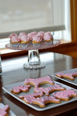 pink safari baby shower food