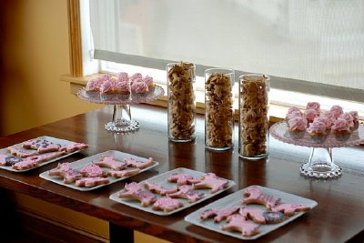 safari baby shower